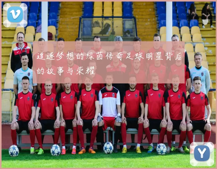 追逐梦想的绿茵传奇足球明星背后的故事与荣耀