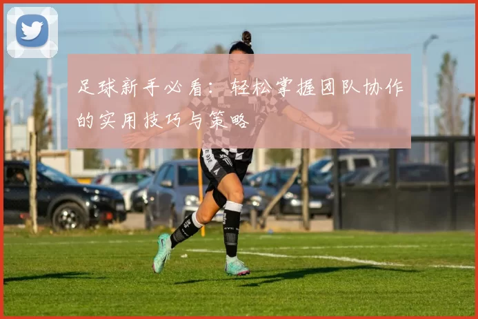 足球新手必看：轻松掌握团队协作的实用技巧与策略