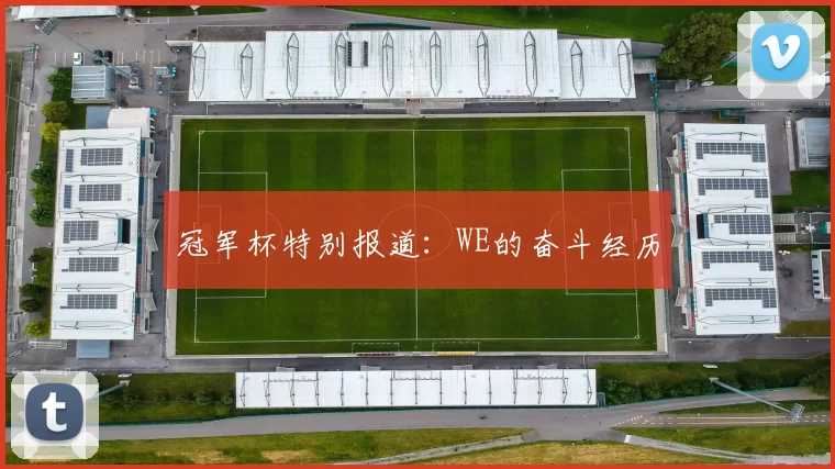 冠军杯特别报道：WE的奋斗经历