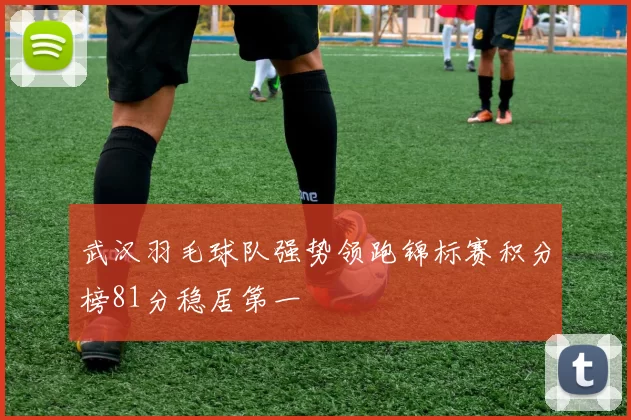 武汉羽毛球队强势领跑锦标赛积分榜81分稳居第一