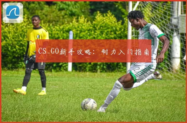 CS_GO新手攻略：耐力入门指南