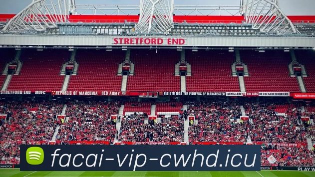 多媒体互动体验